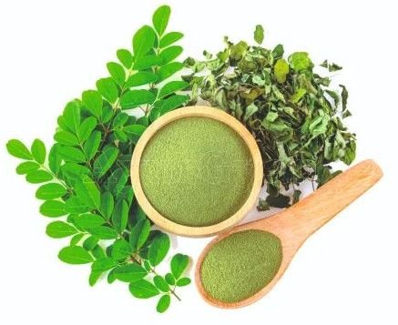 Moringa Powder