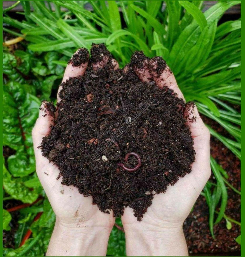 Brown Vermicompost Fertilizer