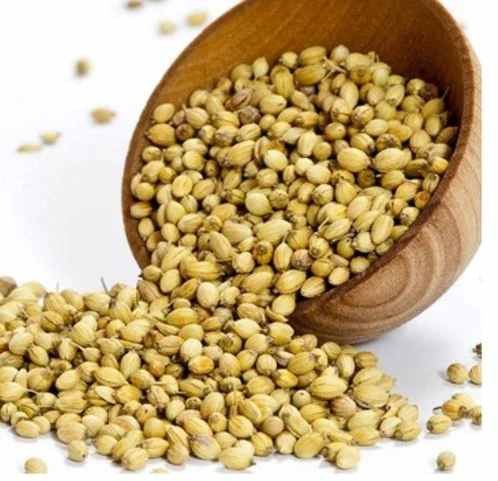 Whole Coriander Seed