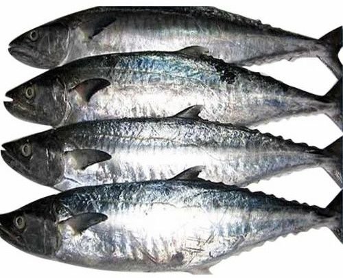 Dried Surmai Fish