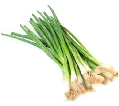 Green Onion Leaves