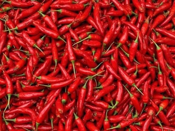 Fresh Red Chilli