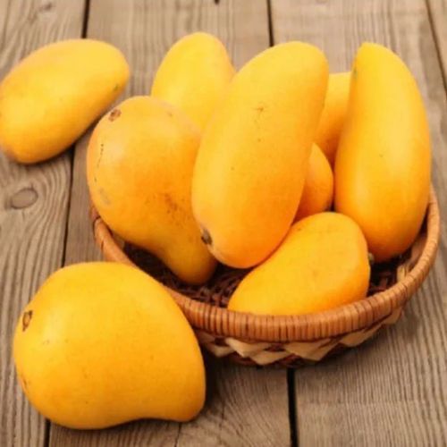Fresh Mango