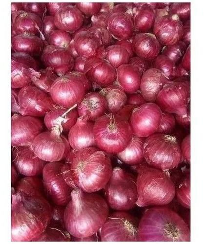 50mm A Grade Red Onion
