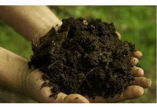 Solid Waste Composting Culture