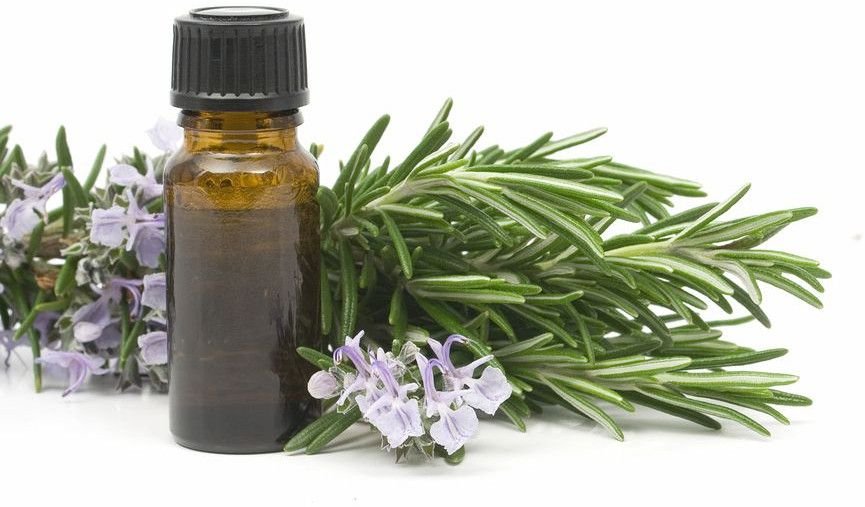 Rosemary Essential Oil