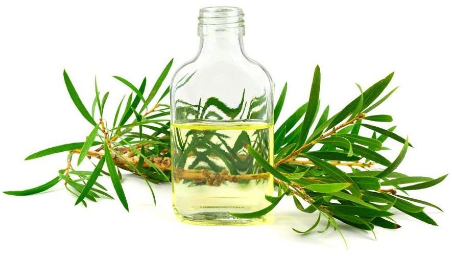 Tea Tree Essential Oil