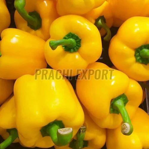 Fresh Yellow Capsicum
