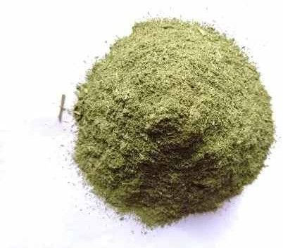 Dehydrated Celery Powder