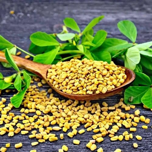 Fenugreek Seed