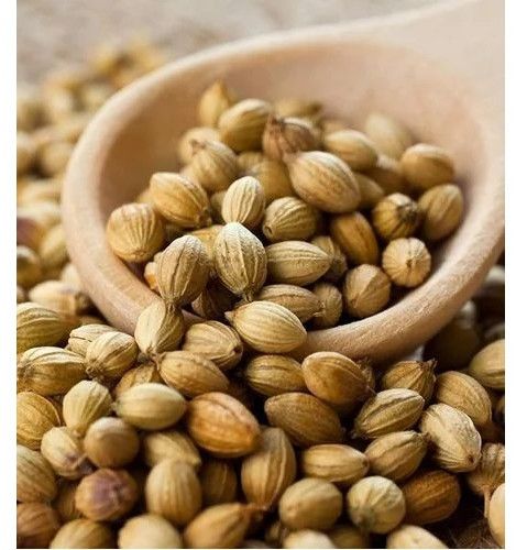 Whole Coriander Seed