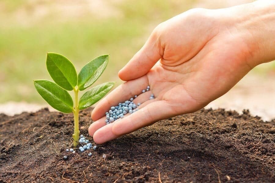 Organic Fertilizer