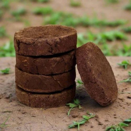 Traditional Cow Dung Cake
