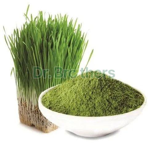 Barley Grass Powder