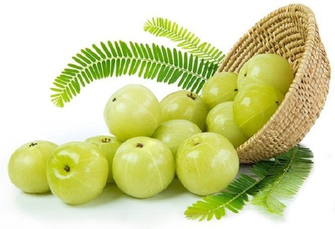 Fresh Amla