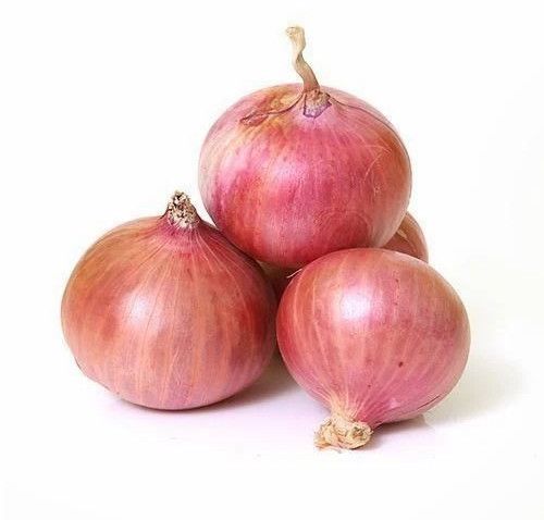 fresh pink onion
