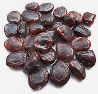Brown Tamarind Seeds