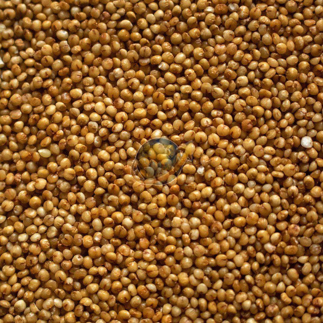 Kodo Millet Seeds