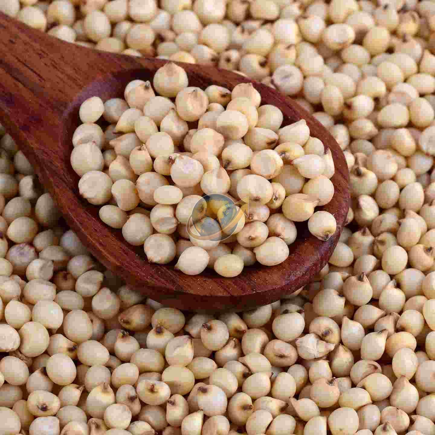 Sorghum Millet Seeds