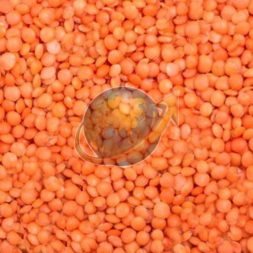 Whole Red Masoor Dal