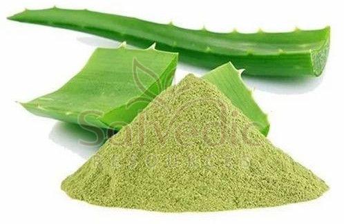Aloe Vera Extract Powder