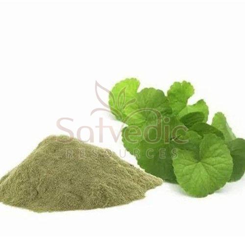 Brahmi Extract Powder