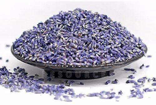 Dried Lavender Flowers