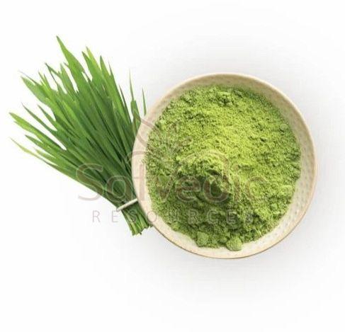 Wheat Grass Powder