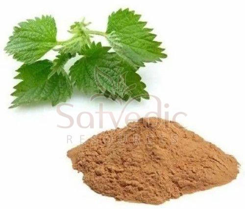Nettle Root Extract Powder