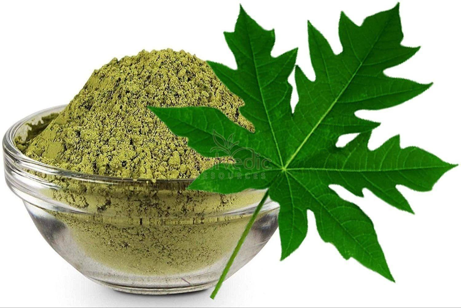 Papaya Leaf Extract Powder