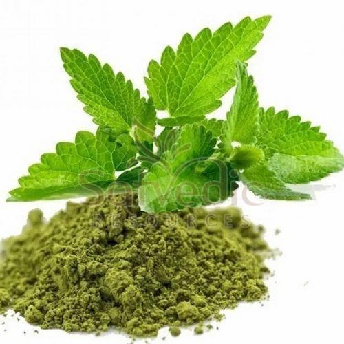 Tulsi Leaf Extract Powder