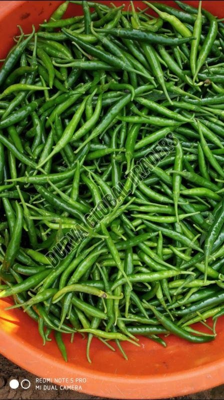 Fresh G4 Green Chilli