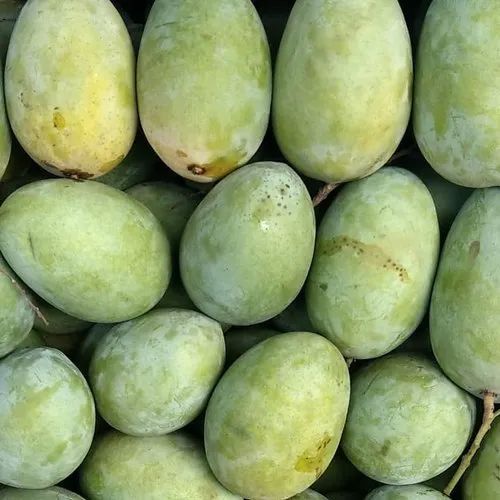 Green A Grade Malda Mango