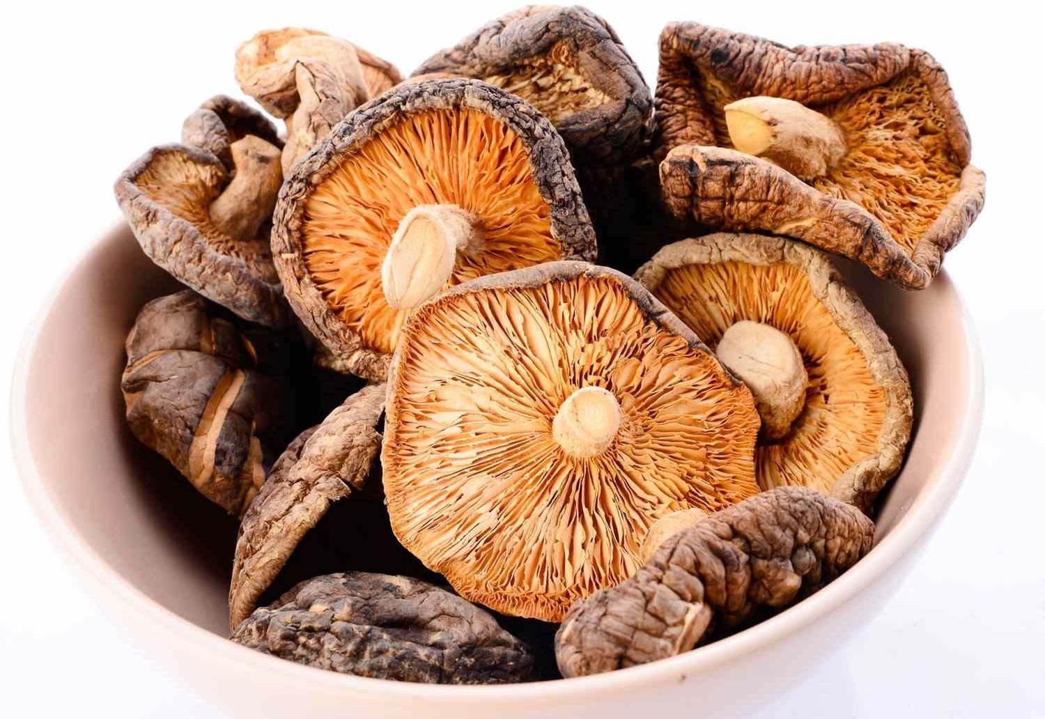 Dehydrated Brown Mushroom