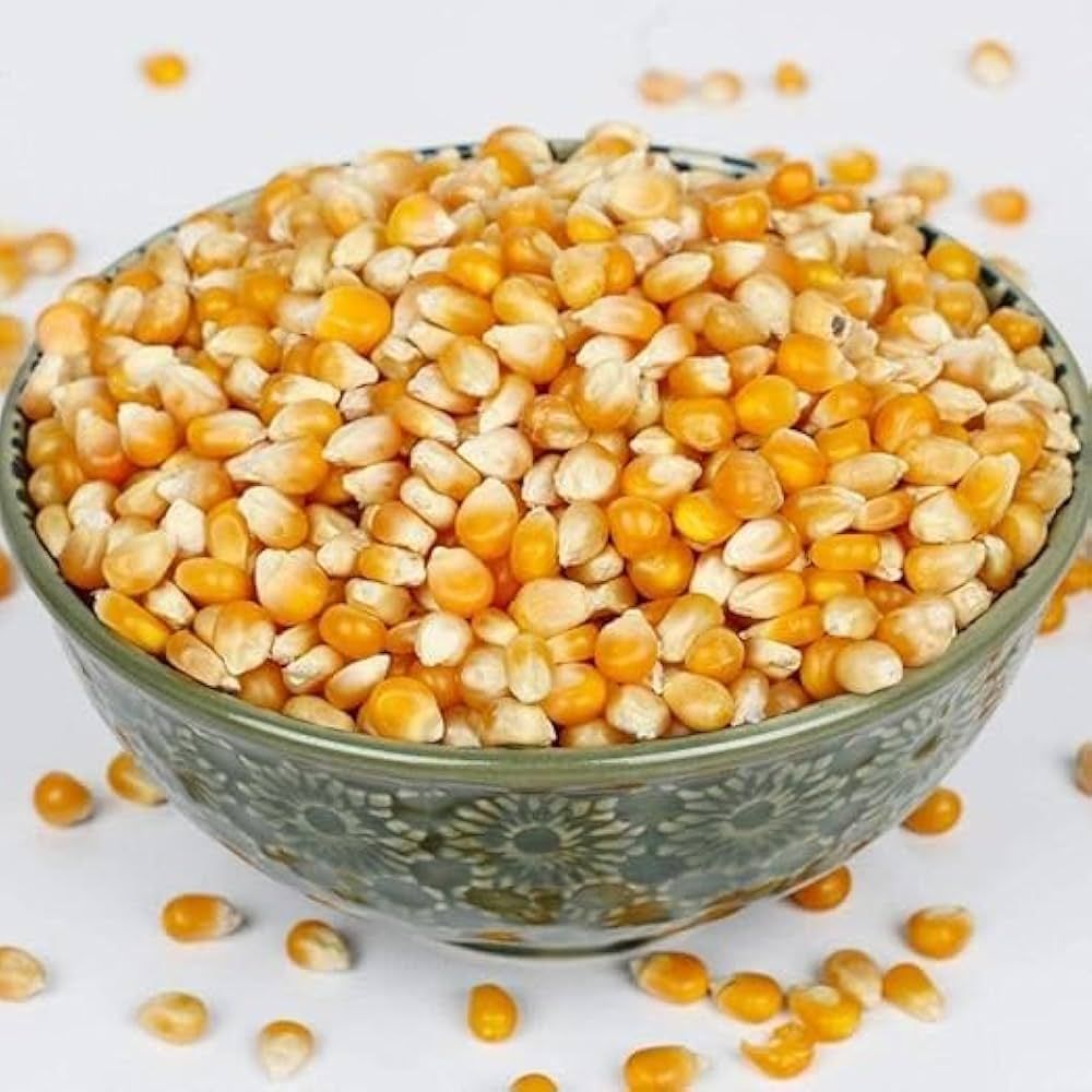 Yellow Maize Seeds