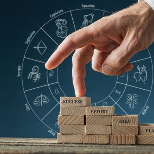 Career and Business Astrology Service