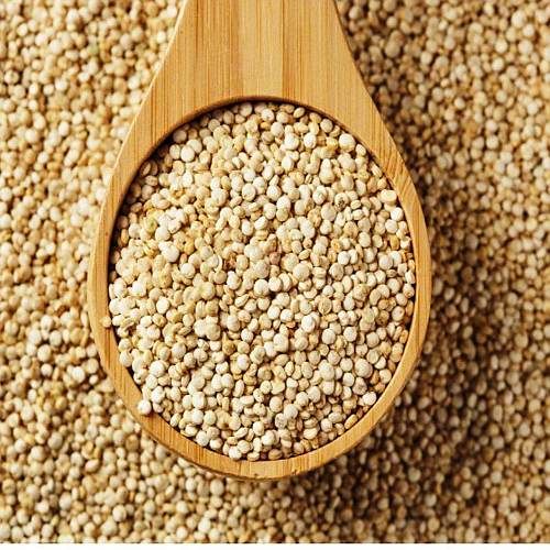 Quinoa Seeds