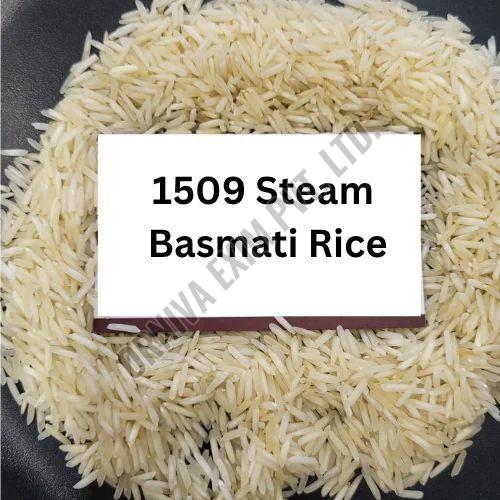 1509 Steam Basmati Rice