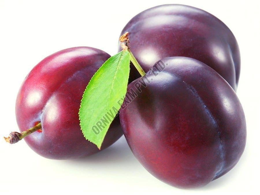 A Grade Fresh Plum