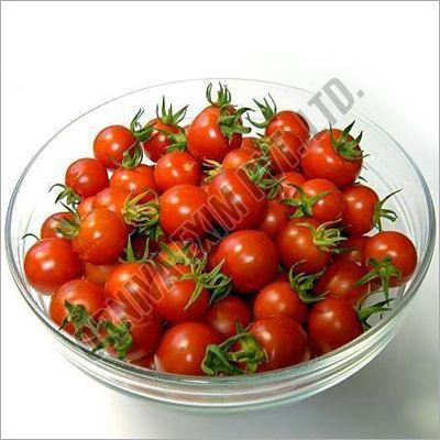 A Grade Fresh Red Cherry Tomato