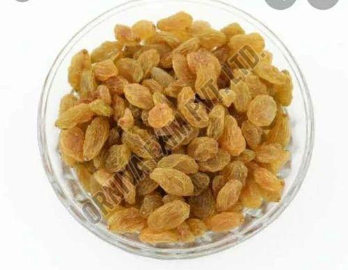 A Grade Golden Dried Raisin