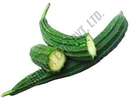 A Grade Green Fresh Ridge Gourd