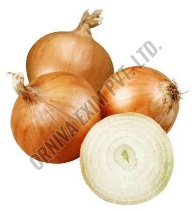 A Grade Natural Yellow Onion