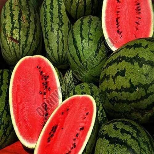 A Grade Seedless Watermelon