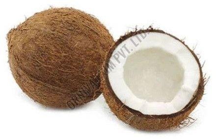 Brown Fresh Coconut