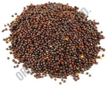 Brown Mustard Seed