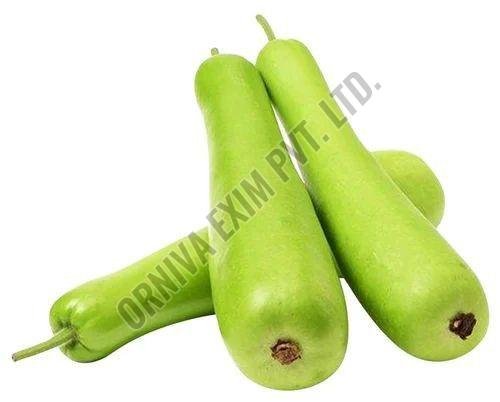 Fresh Long Bottle Gourd