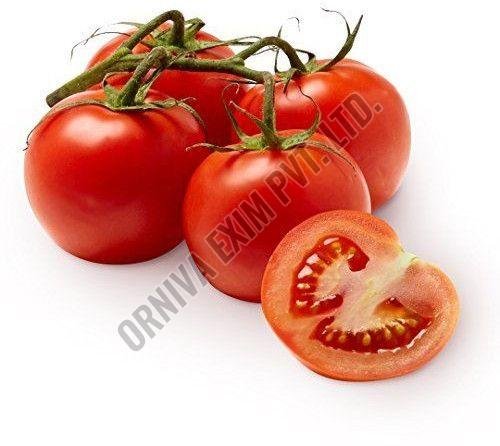 Fresh Red Tomato