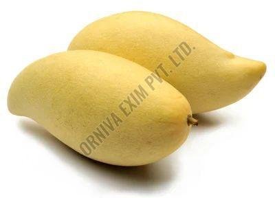 Fresh Totapuri Mango