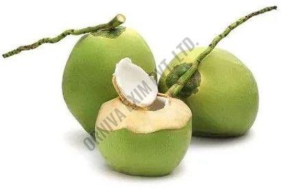 Large Green Tender Coconut